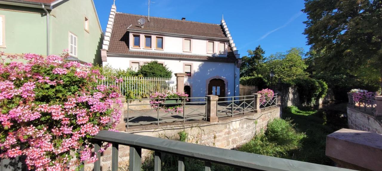 Le Cocon Du Rimbach Apartman Soultz-Haut-Rhin Kültér fotó