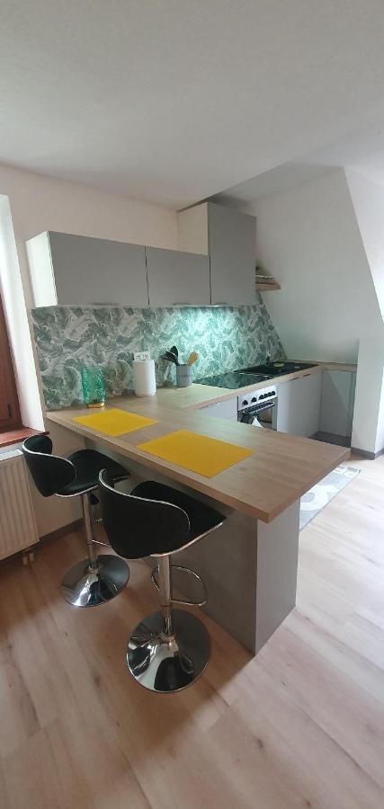 Le Cocon Du Rimbach Apartman Soultz-Haut-Rhin Kültér fotó
