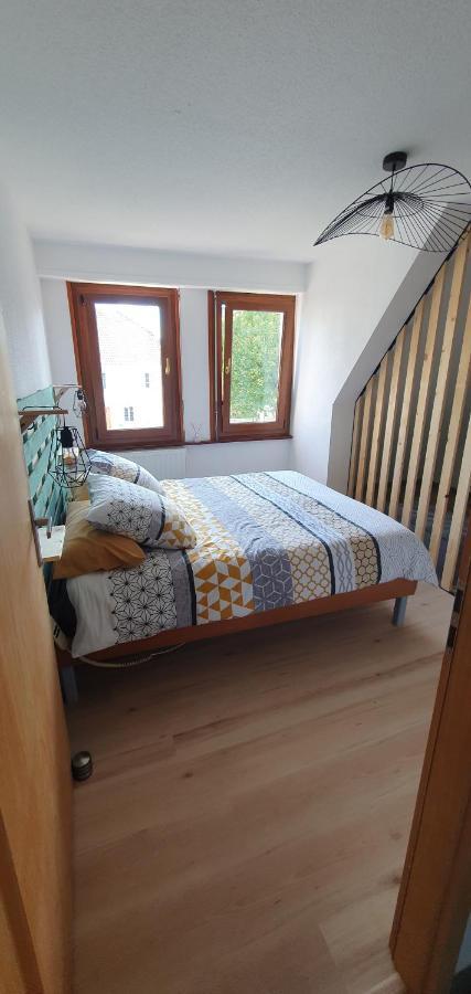 Le Cocon Du Rimbach Apartman Soultz-Haut-Rhin Kültér fotó