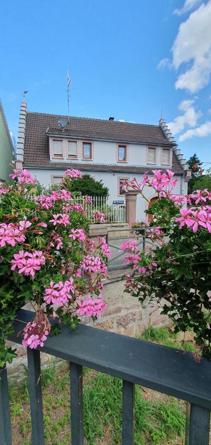 Le Cocon Du Rimbach Apartman Soultz-Haut-Rhin Kültér fotó